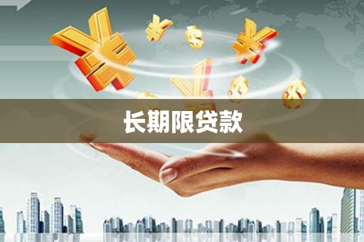项城长期限贷款