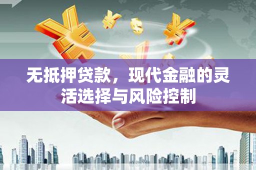项城无抵押贷款，现代金融的灵活选择与风险控制