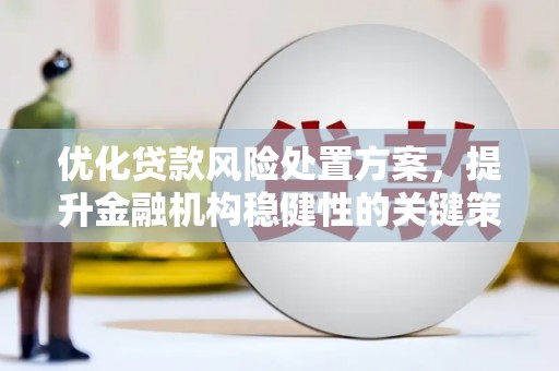 项城优化贷款风险处置方案，提升金融机构稳健性的关键策略