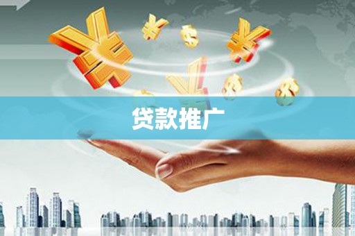 项城贷款推广