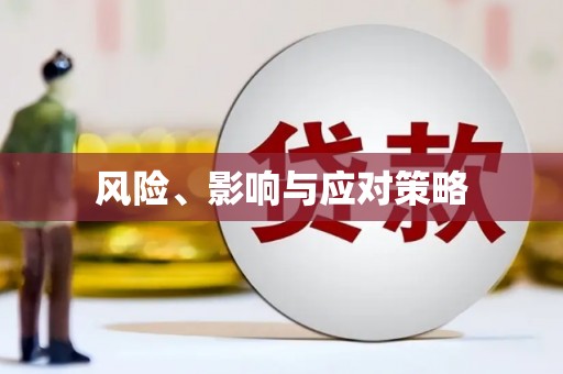 项城风险、影响与应对策略