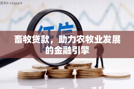 项城畜牧贷款，助力农牧业发展的金融引擎