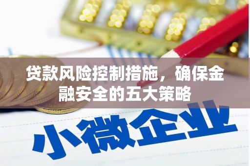 项城贷款风险控制措施，确保金融安全的五大策略
