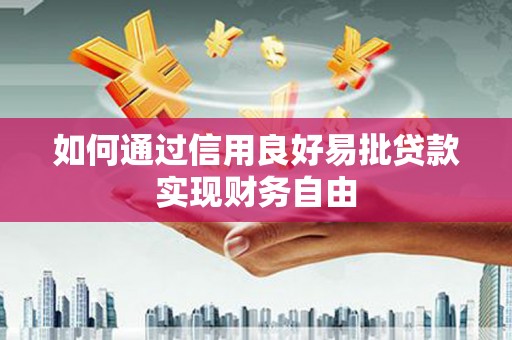 项城如何通过信用良好易批贷款实现财务自由
