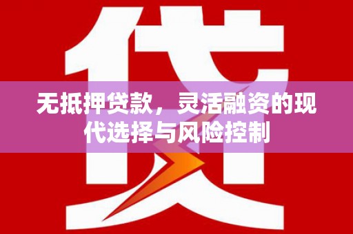 项城无抵押贷款，灵活融资的现代选择与风险控制