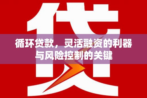 项城循环贷款，灵活融资的利器与风险控制的关键