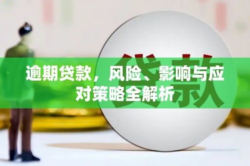 项城逾期贷款，风险、影响与应对策略全解析