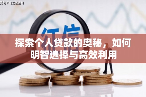 项城探索个人贷款的奥秘，如何明智选择与高效利用