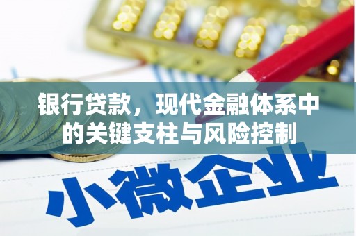 项城银行贷款，现代金融体系中的关键支柱与风险控制