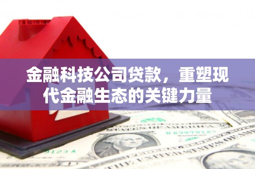 项城金融科技公司贷款，重塑现代金融生态的关键力量
