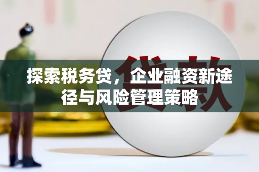 项城探索税务贷，企业融资新途径与风险管理策略