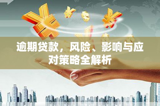 项城逾期贷款，风险、影响与应对策略全解析