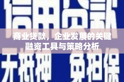 项城商业贷款，企业发展的关键融资工具与策略分析