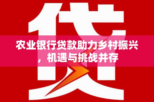 项城农业银行贷款助力乡村振兴，机遇与挑战并存
