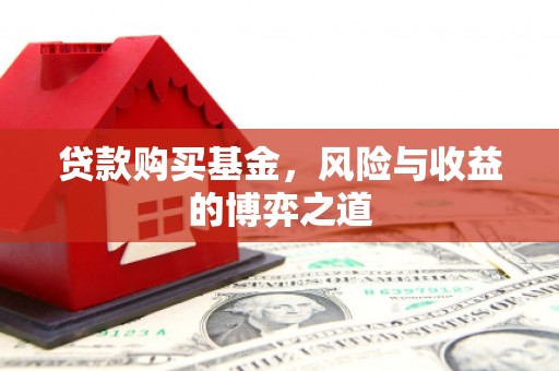 项城贷款购买基金，风险与收益的博弈之道
