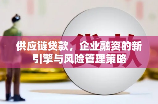项城供应链贷款，企业融资的新引擎与风险管理策略