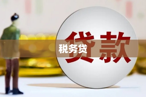 项城税务贷