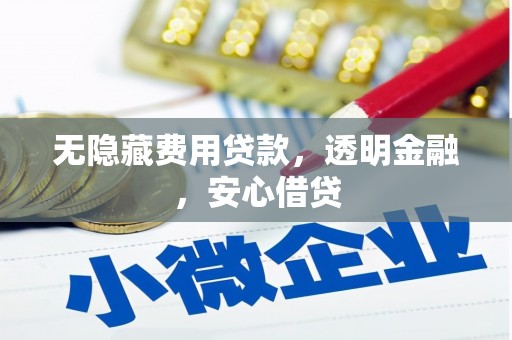 项城无隐藏费用贷款，透明金融，安心借贷