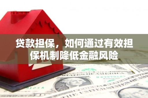 项城贷款担保，如何通过有效担保机制降低金融风险