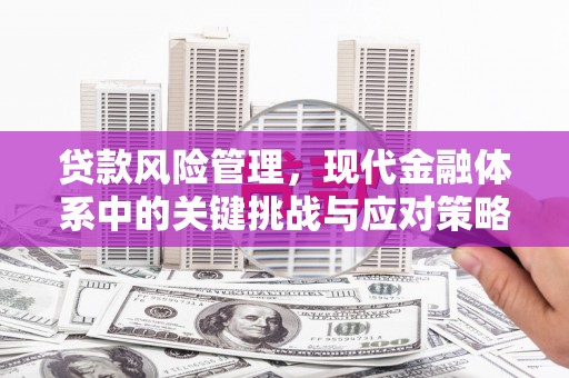 项城贷款风险管理，现代金融体系中的关键挑战与应对策略