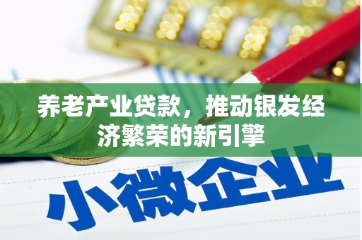 项城养老产业贷款，推动银发经济繁荣的新引擎