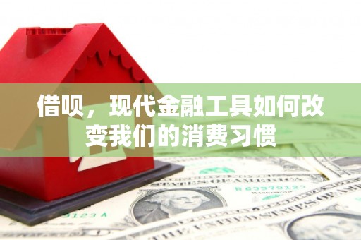 项城借呗，现代金融工具如何改变我们的消费习惯