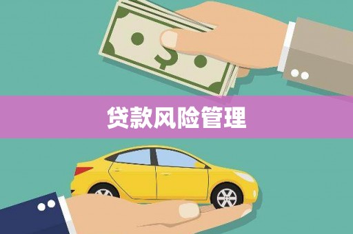 项城贷款风险管理