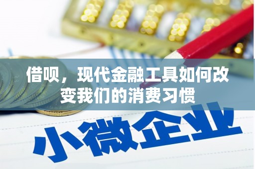 项城借呗，现代金融工具如何改变我们的消费习惯