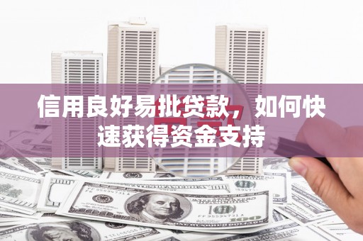 项城信用良好易批贷款，如何快速获得资金支持