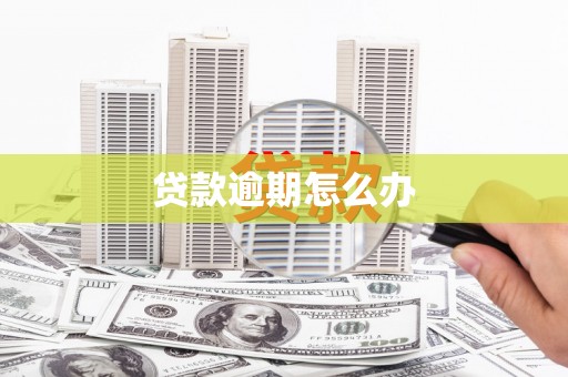 项城贷款逾期怎么办