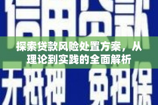项城探索贷款风险处置方案，从理论到实践的全面解析