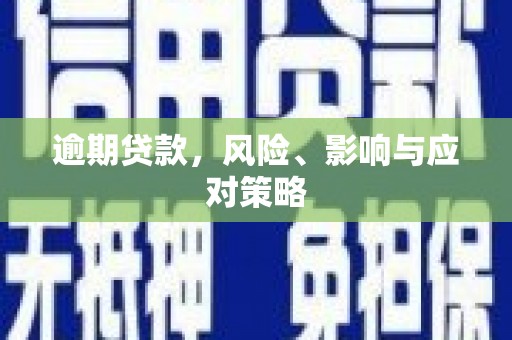项城逾期贷款，风险、影响与应对策略