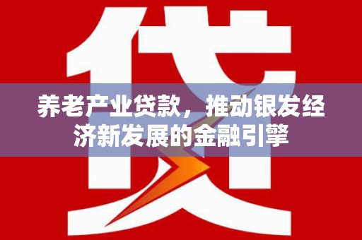 项城养老产业贷款，推动银发经济新发展的金融引擎