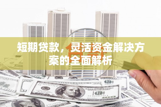 项城短期贷款，灵活资金解决方案的全面解析