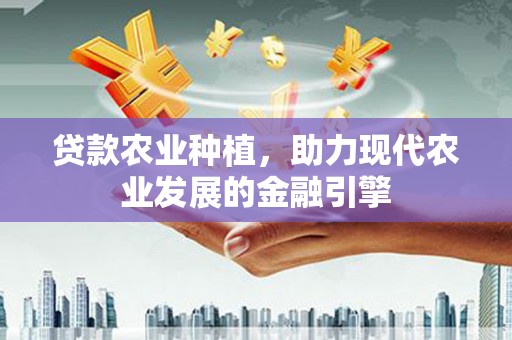 项城贷款农业种植，助力现代农业发展的金融引擎
