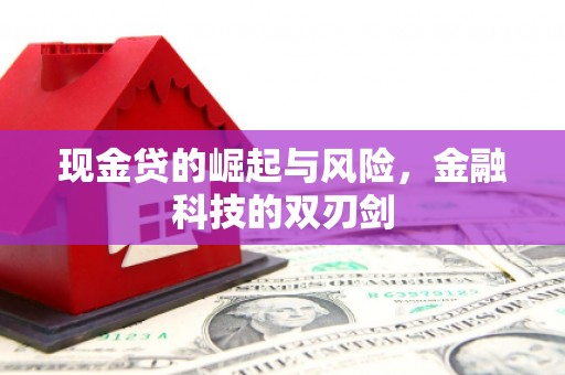 项城现金贷的崛起与风险，金融科技的双刃剑