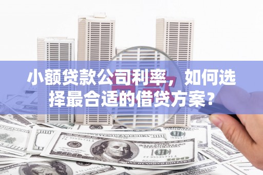 项城小额贷款公司利率，如何选择最合适的借贷方案？