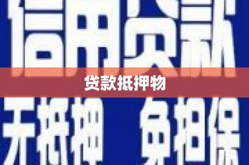 项城贷款抵押物