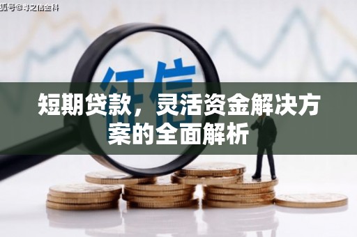 项城短期贷款，灵活资金解决方案的全面解析