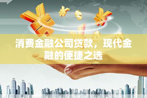 项城消费金融公司贷款，现代金融的便捷之选