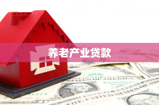 项城养老产业贷款