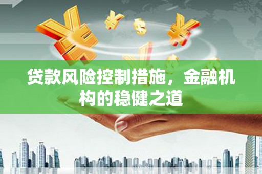 项城贷款风险控制措施，金融机构的稳健之道