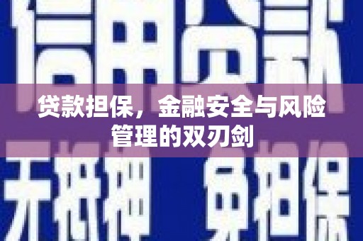 项城贷款担保，金融安全与风险管理的双刃剑