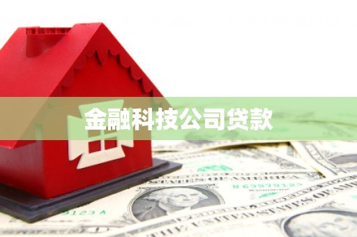 项城金融科技公司贷款