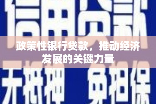 项城政策性银行贷款，推动经济发展的关键力量