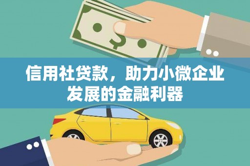 项城信用社贷款，助力小微企业发展的金融利器