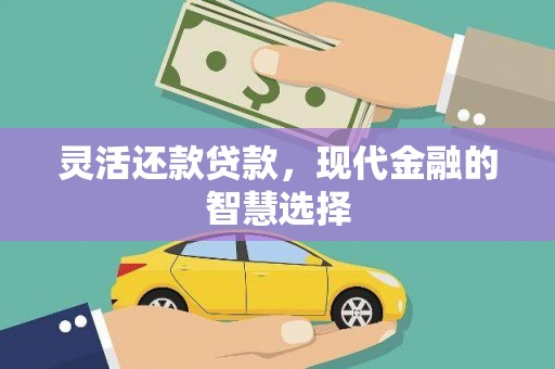 项城灵活还款贷款，现代金融的智慧选择