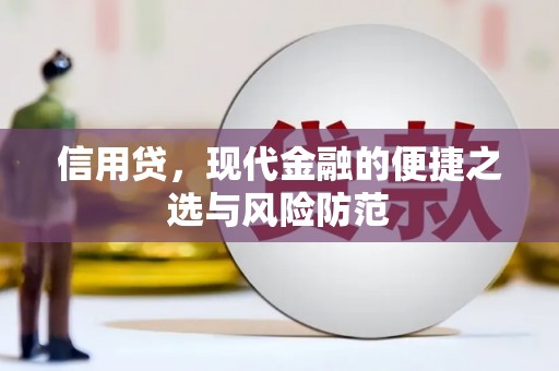 项城信用贷，现代金融的便捷之选与风险防范
