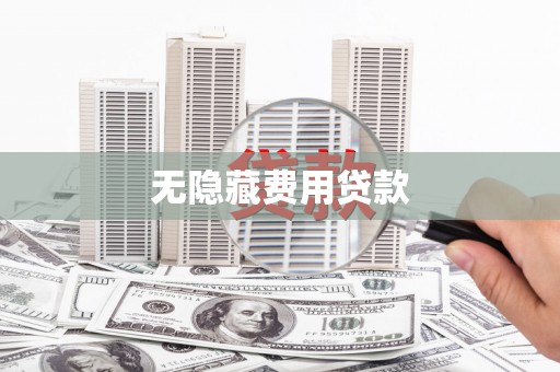 项城无隐藏费用贷款