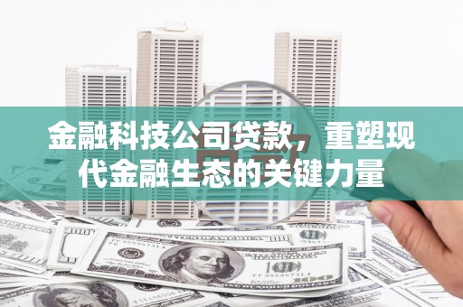 项城金融科技公司贷款，重塑现代金融生态的关键力量